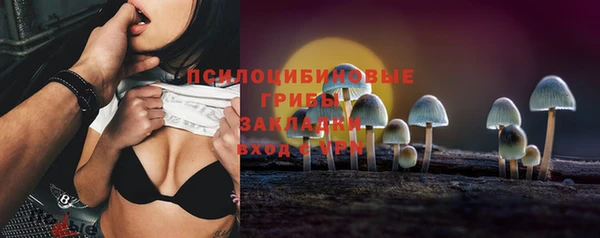 первитин Лиски
