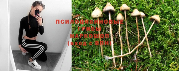 мяу мяу кристалл Лихославль