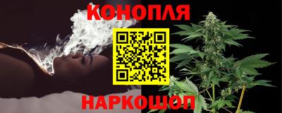 стаф Бийск