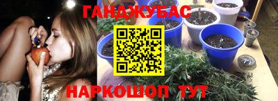 Альфа ПВП Беслан