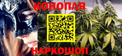стаф Бийск