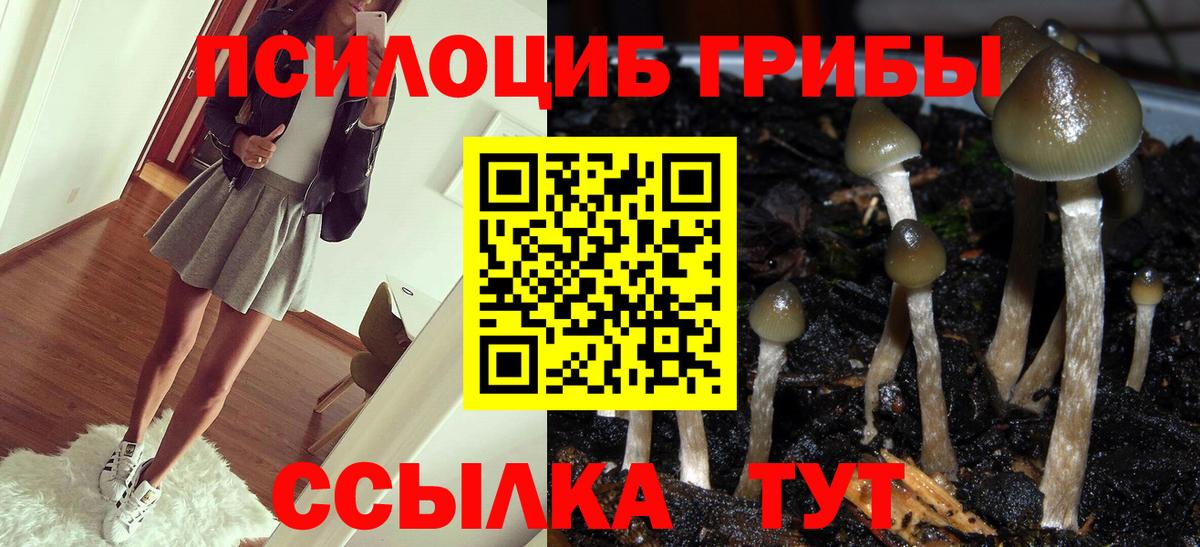 Галлюциногенные грибы Psilocybine cubensis Ялта